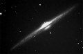NGC 4565 350mm f4,4  04.04.05 20x60s.Platinum